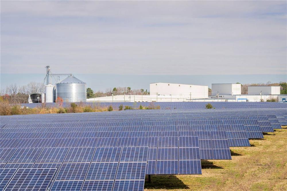 Kako produžiti vek trajanja solarnih panela
