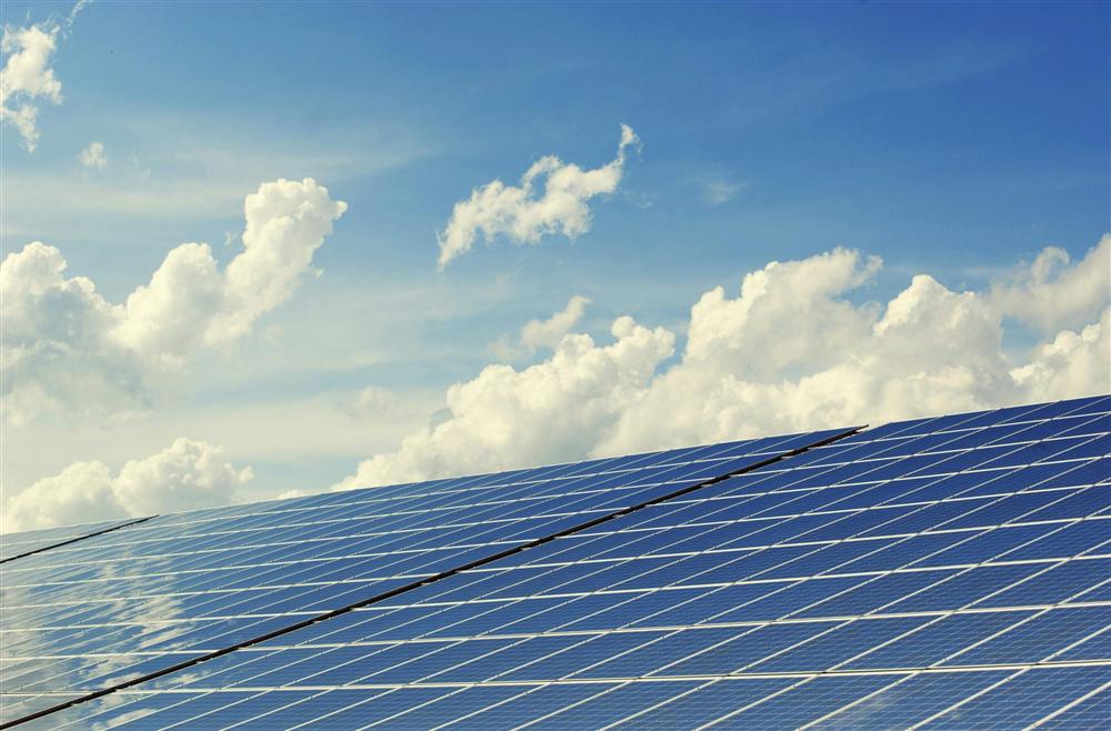 Kako zaštititi solarne panele od ptica