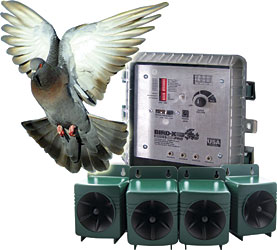 BroadBand PRO